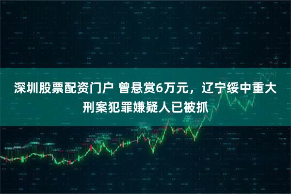 深圳股票配资门户 曾悬赏6万元，辽宁绥中重大刑案犯罪嫌疑人已被抓